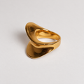 Anillo wave